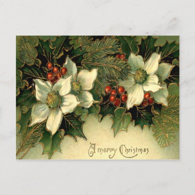 Carte Postale Holly (Devant)