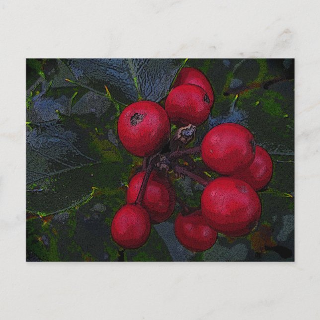 Carte postale Holly Berries (Devant)
