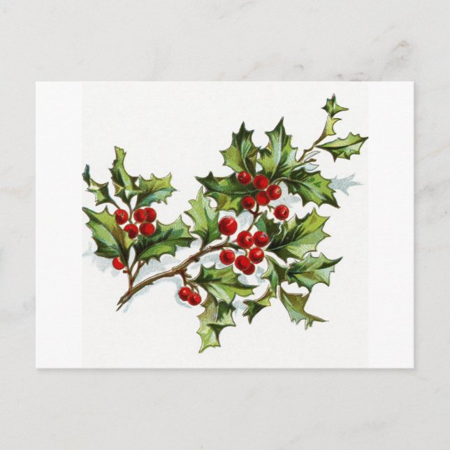 Carte Postale Holly Berries 001 (Devant)