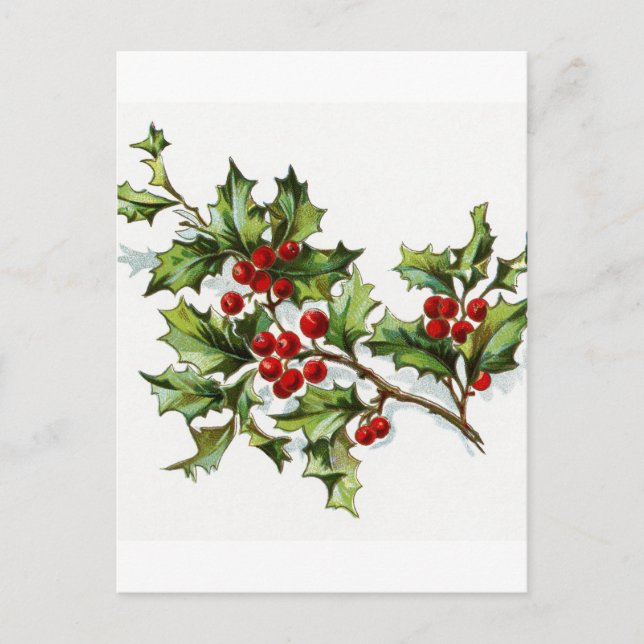 Carte Postale Holly Berries 002 (Devant)