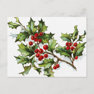 Carte Postale HollyBerries 002