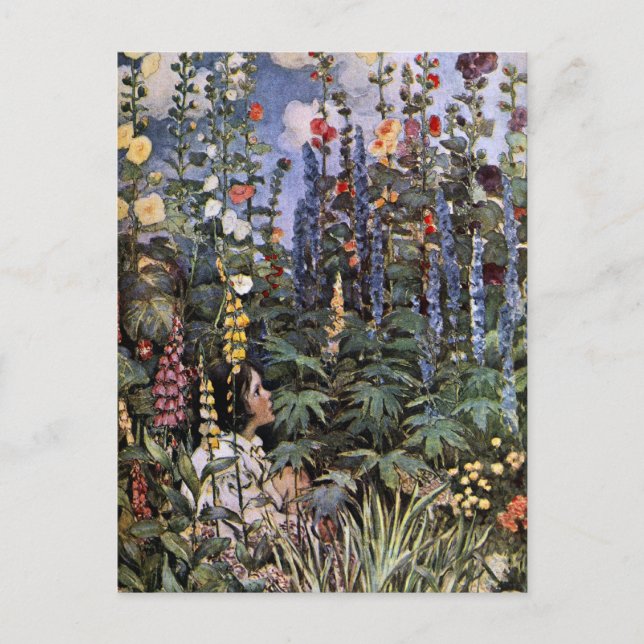 Carte Postale Hollyhocks (Devant)