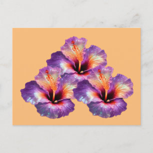 Carte Postale Holographique Iridescente Hibiscus Fleurs