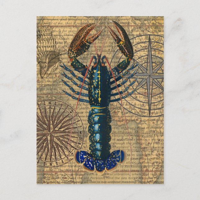 Carte Postale Homard Coquillages Fruits de mer Maine Classique O (Devant)