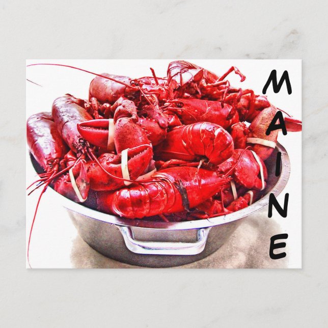 Carte Postale Homard du Maine (Devant)