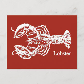Carte Postale Homard rouge et blanc