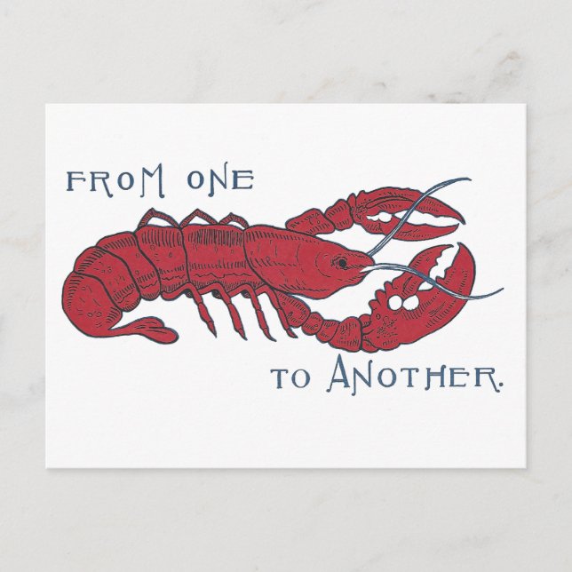 Carte Postale Homard vintage (Devant)