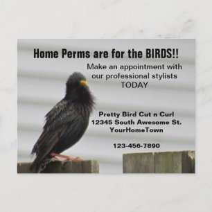Carte Postale Home Perm Salon Mailer