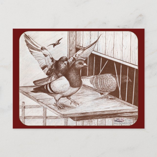 Carte Postale Homecoming Homecoming Homes (Devant)