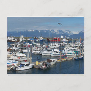 Carte Postale Homer Alaska