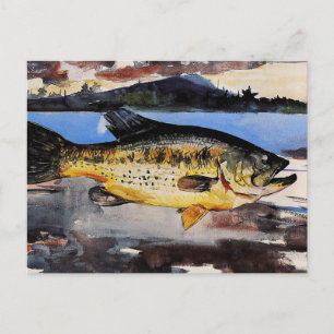 Carte Postale Homer - Basse,