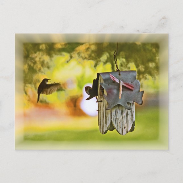 Carte Postale Homeward Bound (Devant)