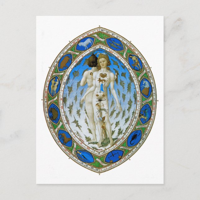 Carte postale : Homme anatomique (Devant)