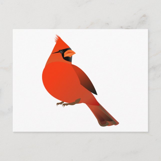Carte Postale Homme Cardinal Bird (Devant)