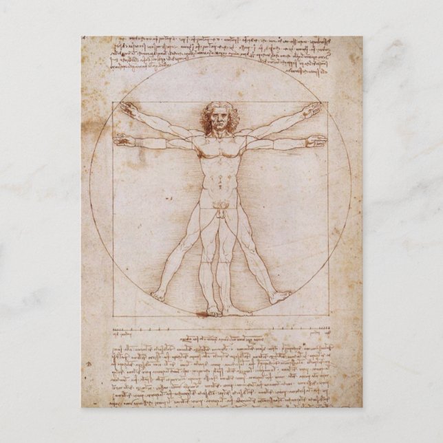 Carte Postale Homme de Vitruvian (Devant)