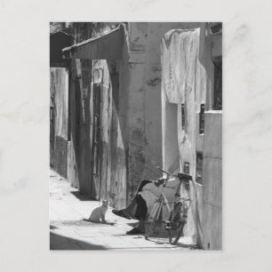 Carte Postale Homme et chat
