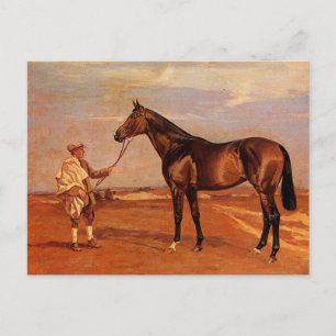 Carte Postale Homme vintage Avec Cheval De Course Brown