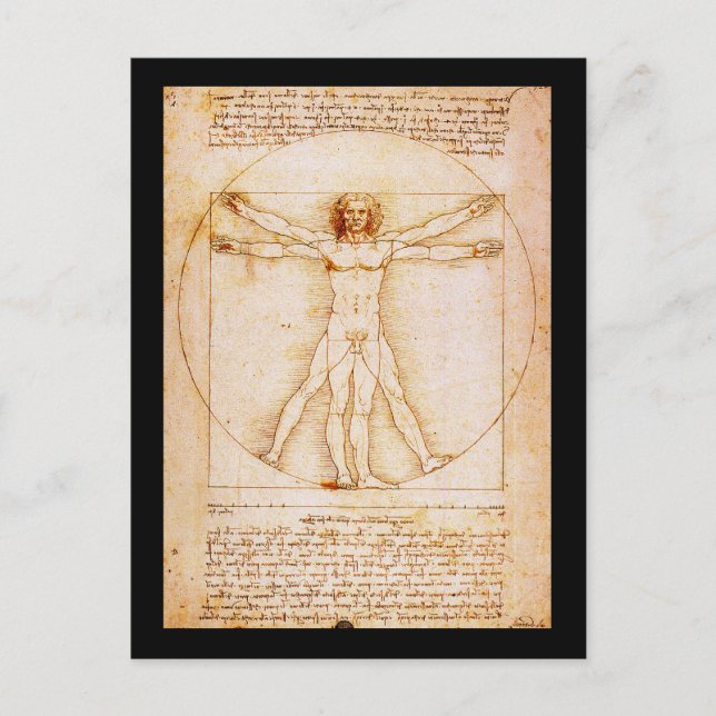 Carte Postale Homme vitruvien - Léonard de Vinci (Devant)