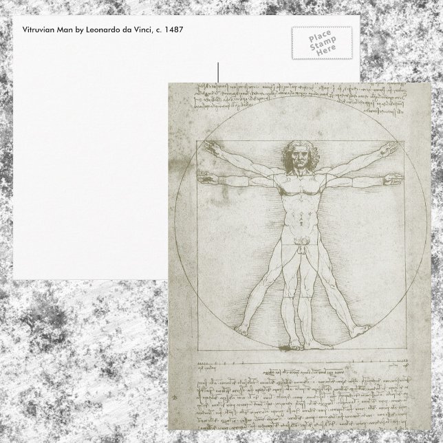 Carte Postale Homme vitruvien par Leonardo da Vinci (Créateur téléchargé)