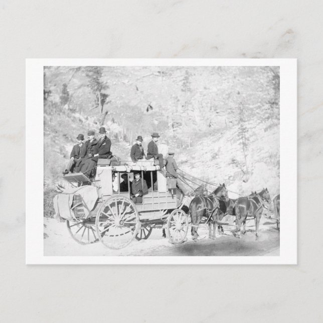 Carte Postale Hommes assis sur une photo d'un "entraîneur en boi (Devant)