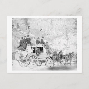 Carte Postale Hommes assis sur une photo d'un "entraîneur en boi