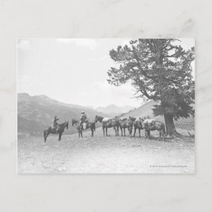 Carte Postale Hommes avec des chevaux-paquets qui regardent au-d