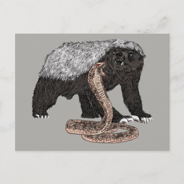 Carte Postale Honey Badger versets illustration de serpent (Devant)