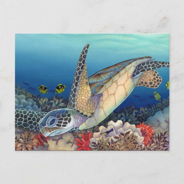 Carte Postale Honu (Tortue verte) (Devant)