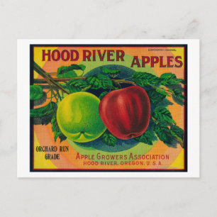 Carte Postale Hood River Apple Crate Label Hood River, OU