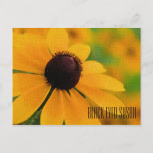 Carte postale horizontale Black Eyed Susan