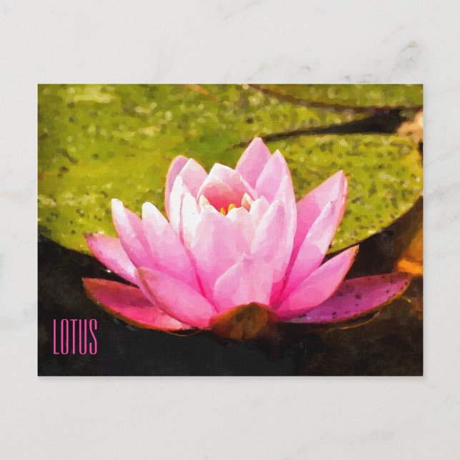 Carte postale horizontale Lotus rose (Devant)