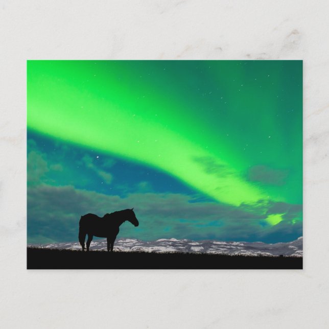 Carte Postale Horloge et aurores boréales, Yukon (Devant)