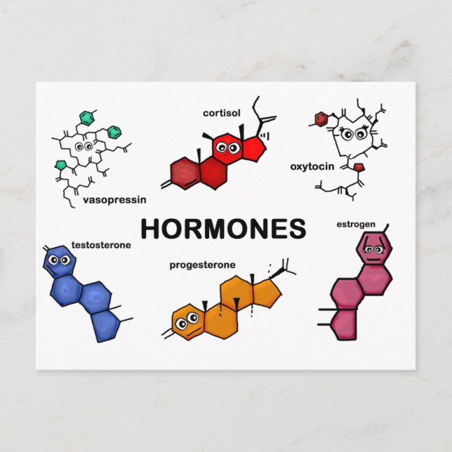 Carte Postale Hormones (Devant)