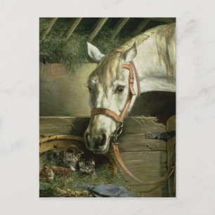 Carte Postale Horse and kittens, 1890