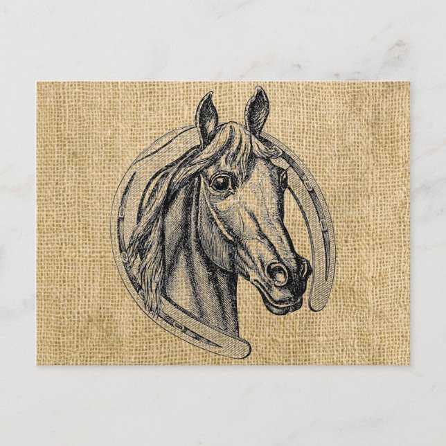 Carte Postale Horse cameo (Devant)