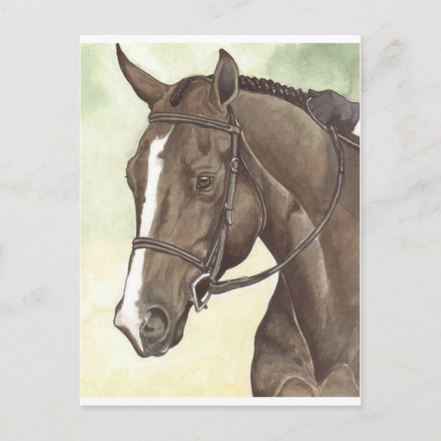 Carte Postale HORSE Champion Appendice QH Mare (Devant)