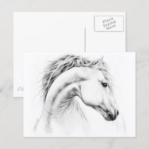 Carte Postale Horse portrait drawing equestrian art
