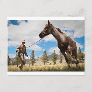 Carte Postale Horse Ranch Farm Destiny Nature Arrière - plan