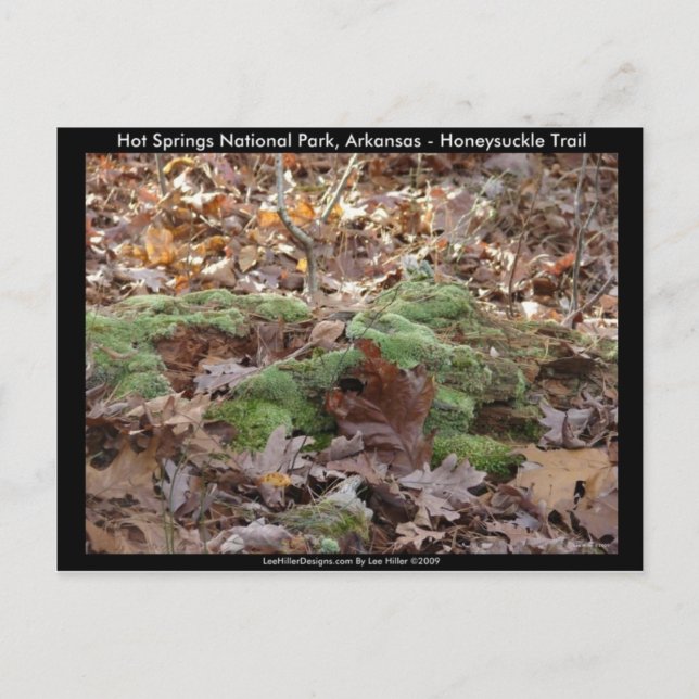 Carte Postale Hot Springs National Park, AR - Honeysuckle Trail (Devant)