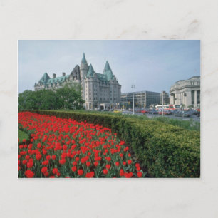 Carte Postale Hôtel Chateau Laurier, Ottawa fleurs