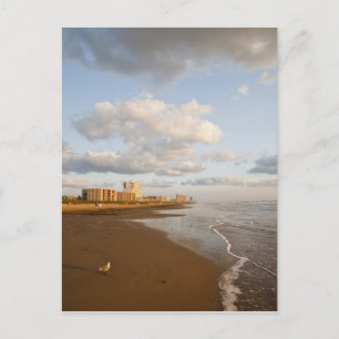 Carte Postale hôtels de villégiature de South Padre Island, Texa