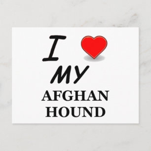 Carte Postale hound afghan
