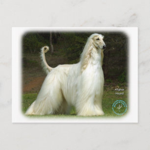 Carte Postale Hound afghan 9J32D-21