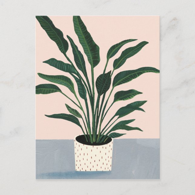 Carte Postale Houseplant (Devant)