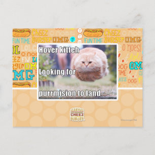 Carte Postale Hover kitteh