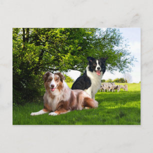 Carte Postale "Howdy & Buckeroo" 