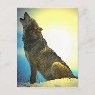 Carte Postale Howling