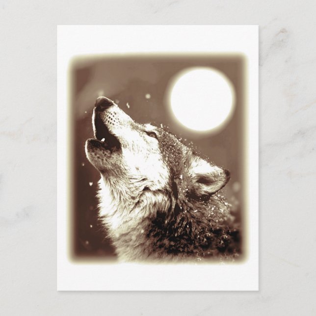 Carte Postale Howling Wolf (Devant)