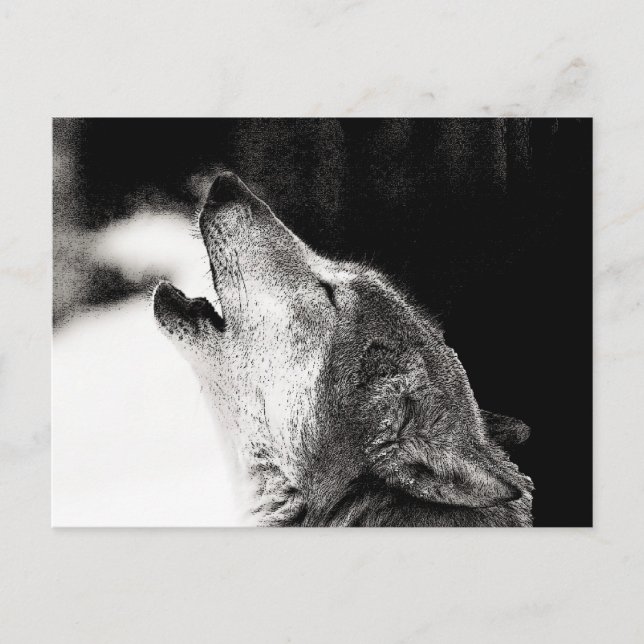 Carte Postale Howling Wolf (Devant)