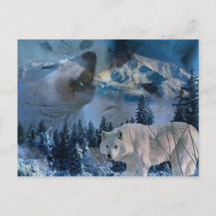 Carte Postale Howling Wolf Pack